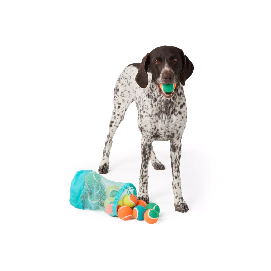 balls Early Gift Guide for Pet Parents