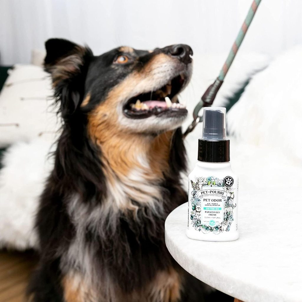 pet pouri early Gift Guide for Pet Parents