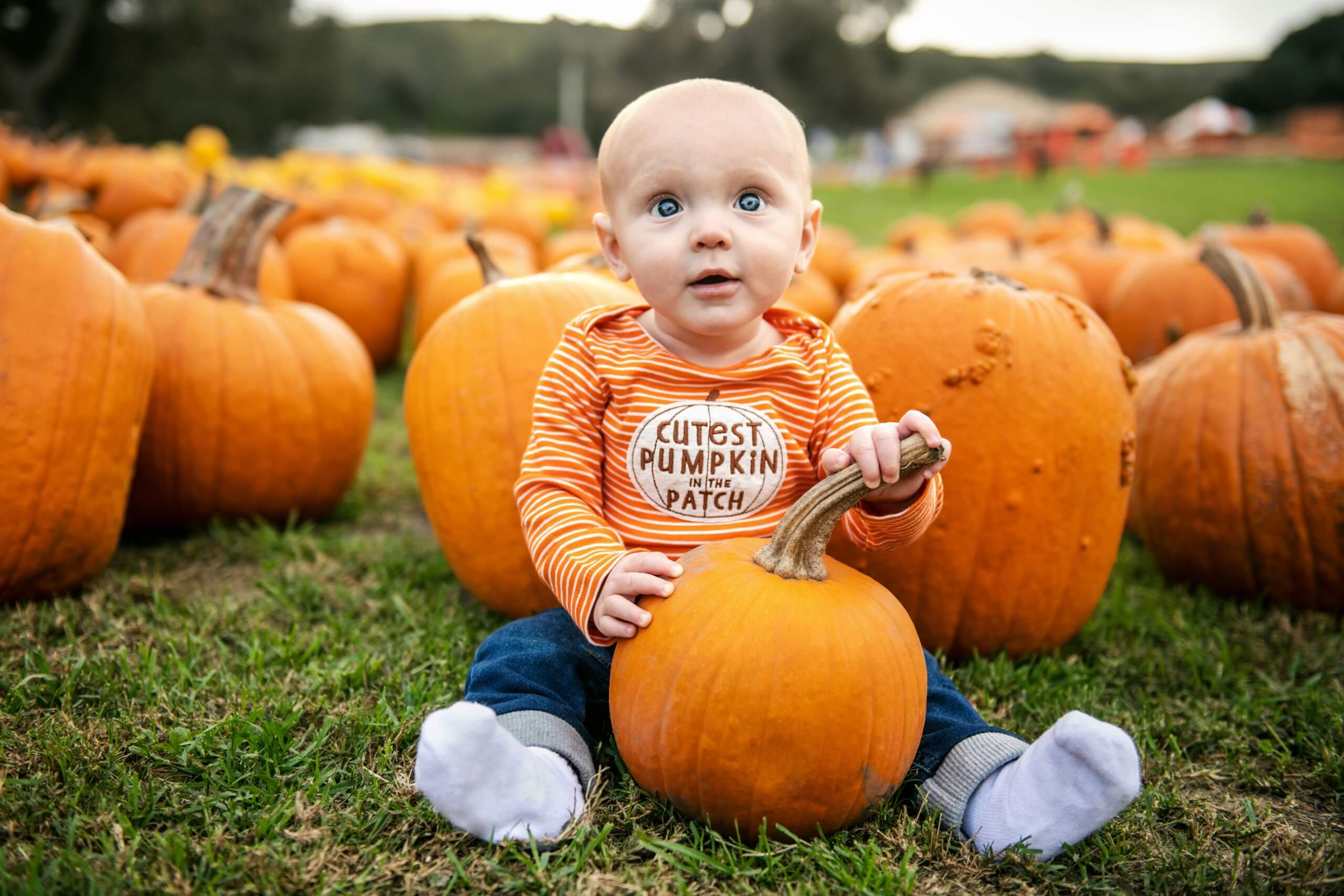 baby in pumpkin patch Family-Friendly Halloween Traditions