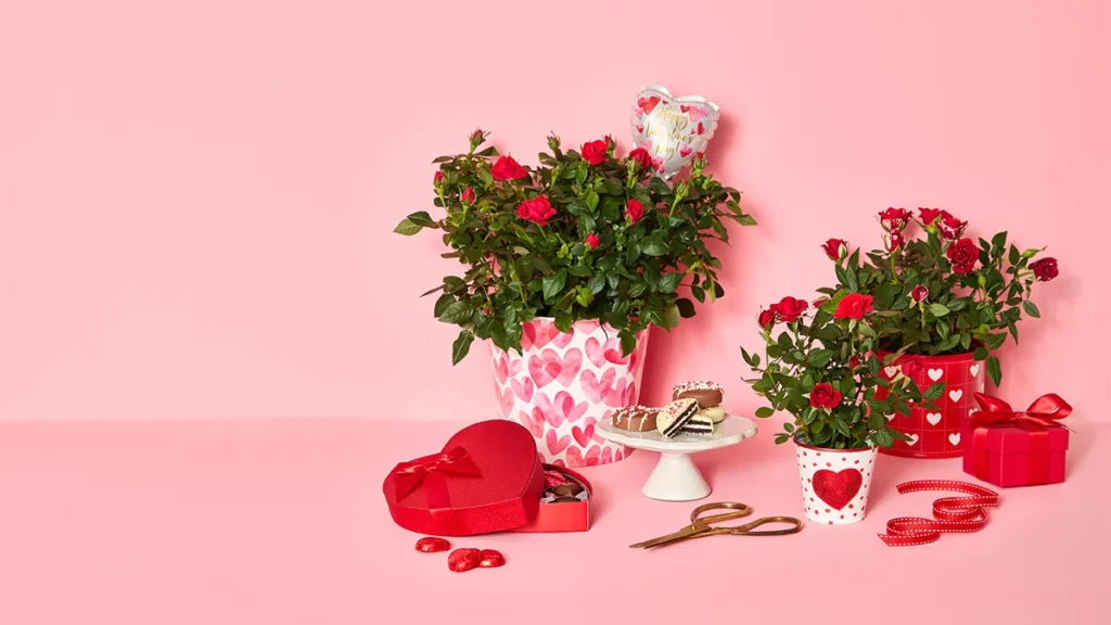 The Best Flowers to give on Valentine's Day