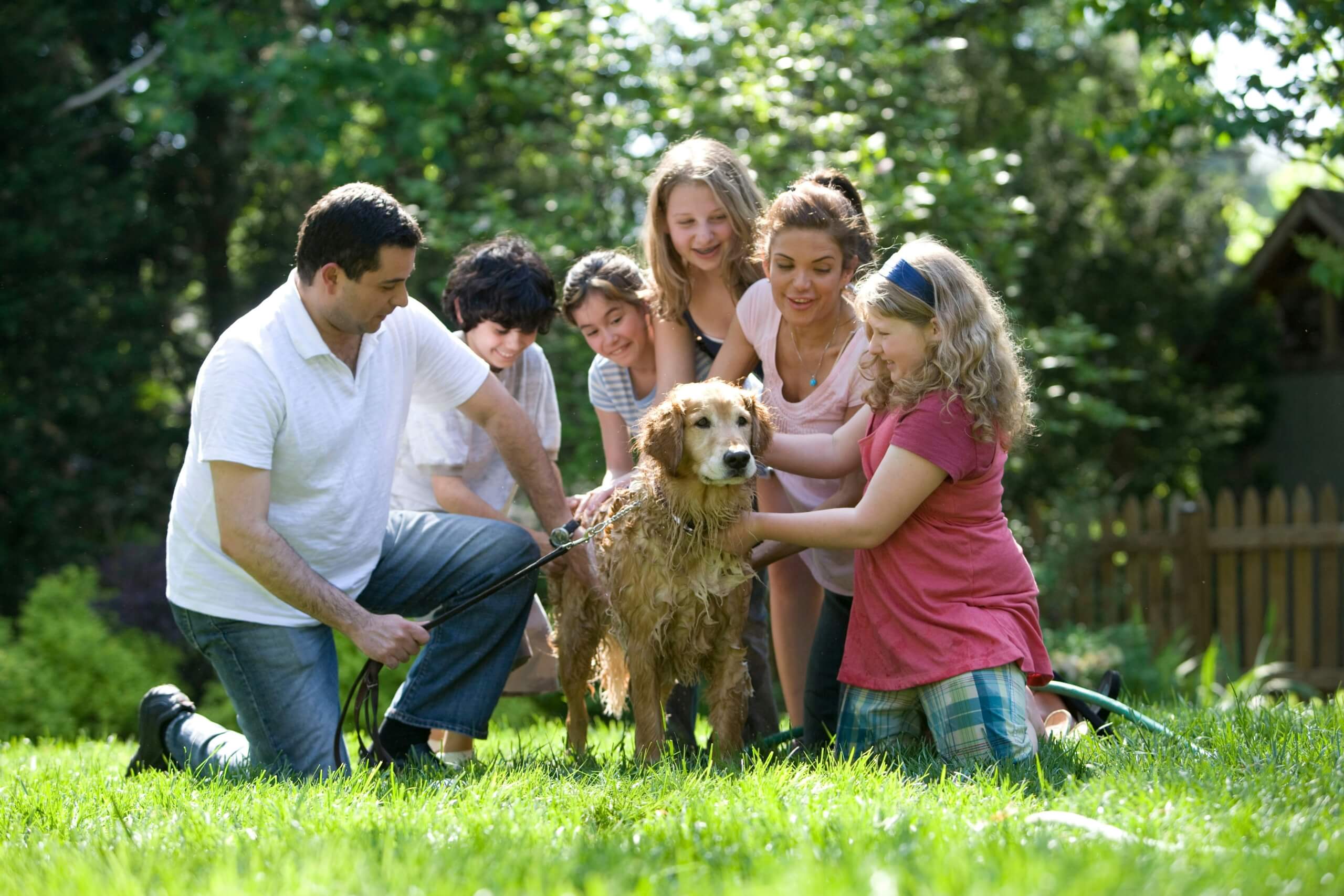 new family dog How to Introduce a New Pet to Kids Safely
