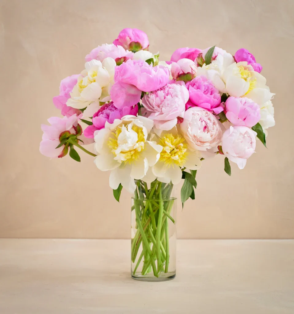 Double the Grower's Choice Peonymother's day gifts for wife